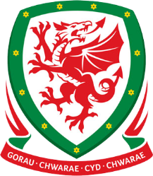 Đội bóng Xứ Wales