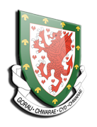 Đội bóng Xứ Wales U21