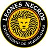 Đội bóng Leones Univ Guadalajara