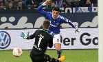 Schalke 3-0 Hoffenheim (Highlights vòng 27, giải VĐQG Đức 2012-13)