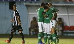 Palmeiras 4 - 0 Figueirense (SC) (Hạng 2 Brazil 2013, vòng 28)