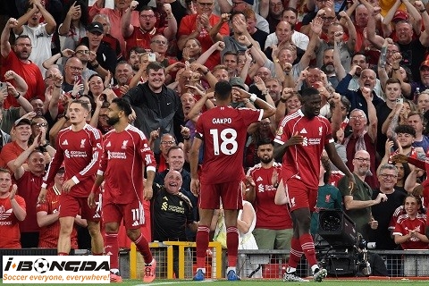 Liverpool vs Real Madrid 3h ngày 5/11