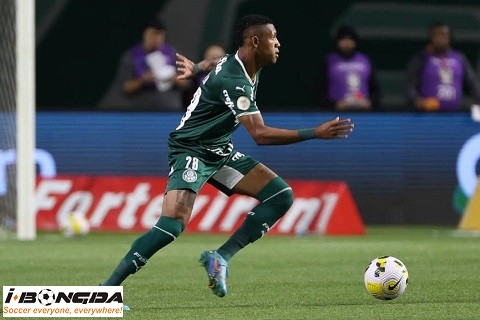 Palmeiras vs Vitoria Salvador BA 5h30 ngày 20/11