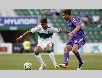 Dự đoán Elche vs Valladolid 19h00, ngày 12/11